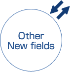 Other New fields